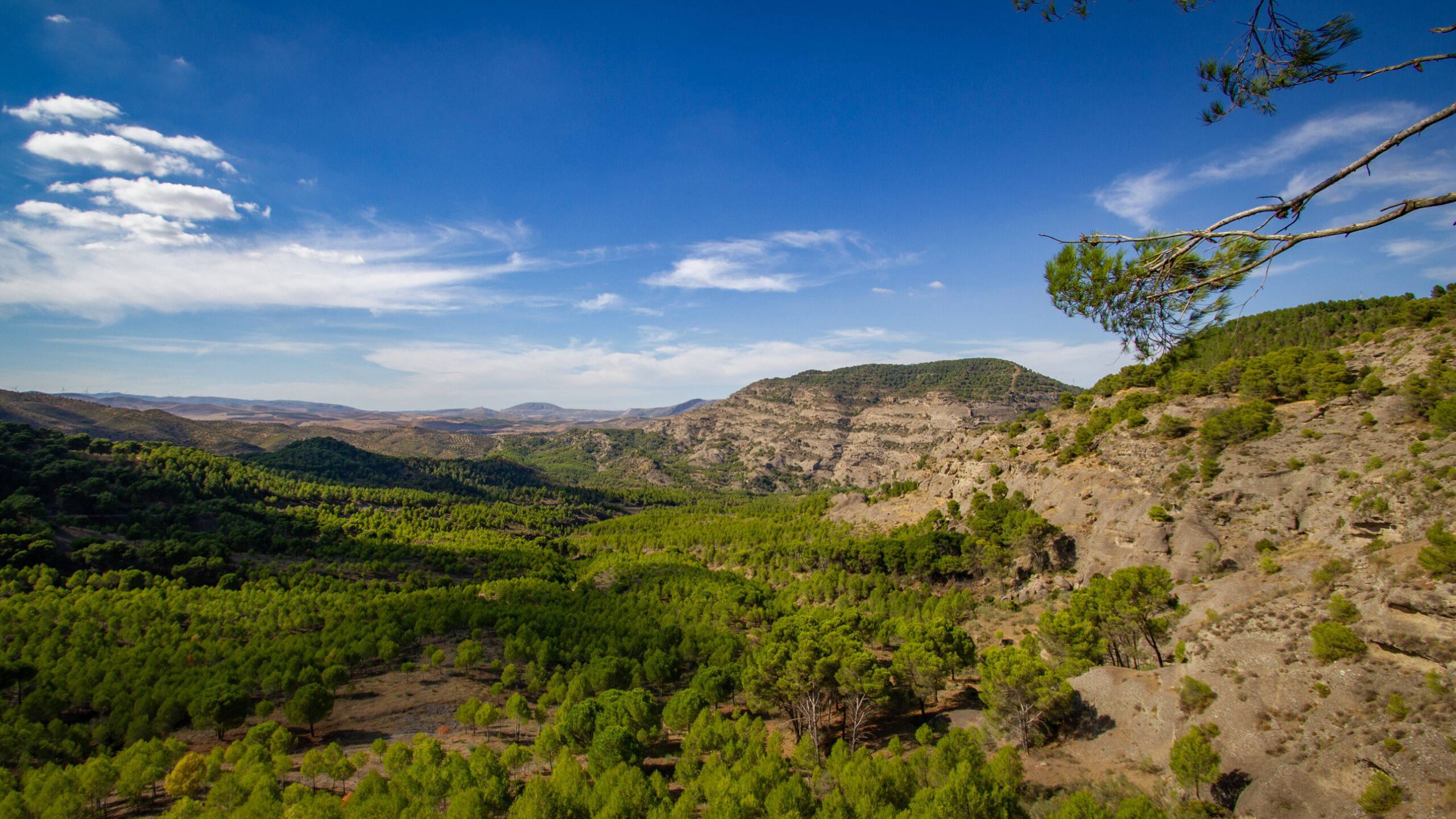 Parque Natural del Desfiladero de los Gaitanes